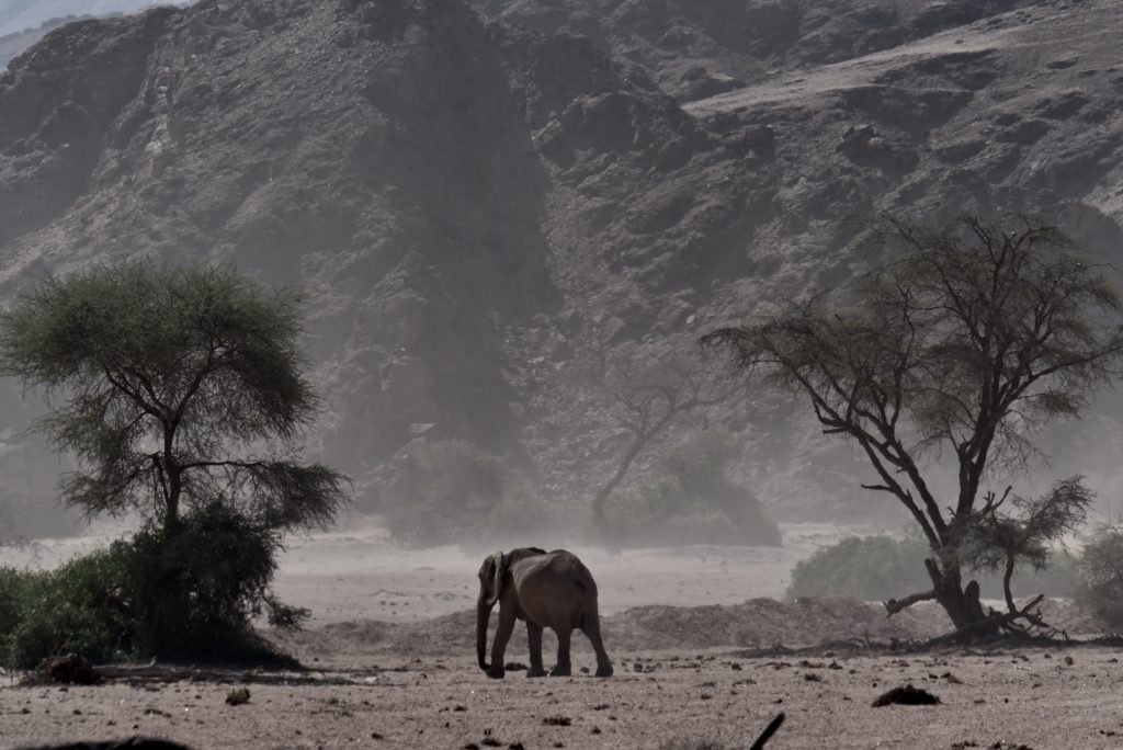 Namibia 2021 (30)