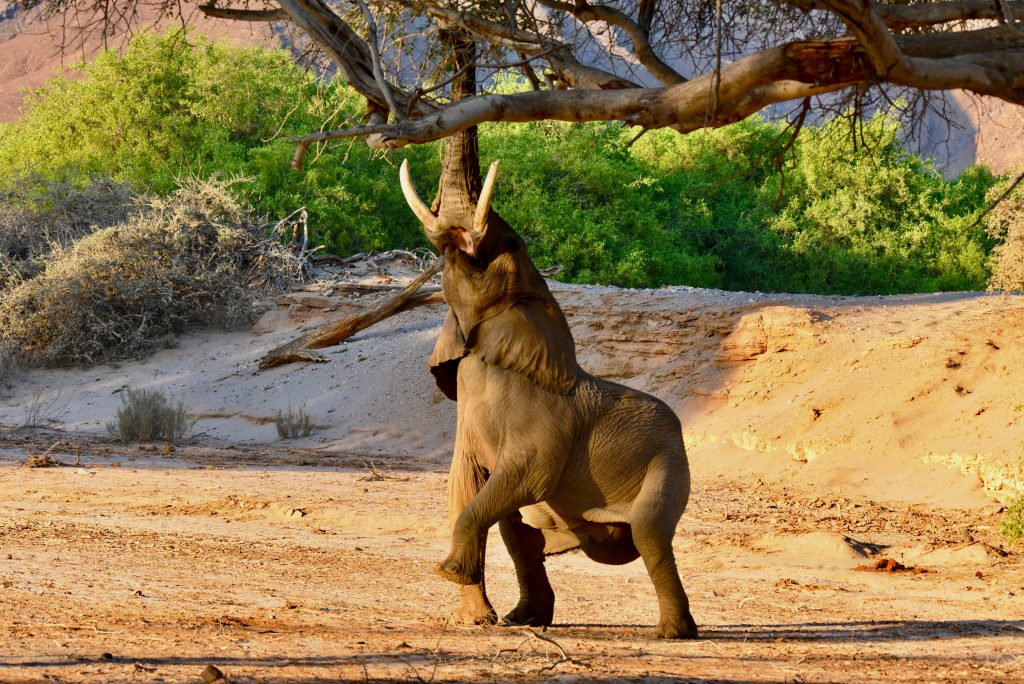 Namibia 2021 (32)