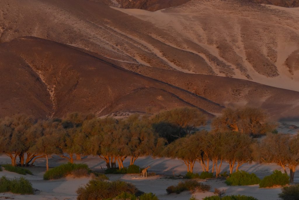 Namibia 2021 (34)