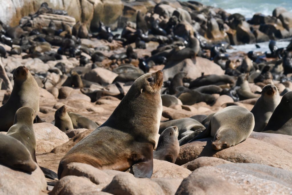 Namibia 2021 (36)