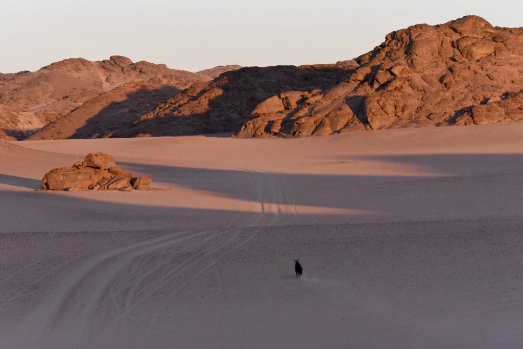 Namibia 2021 (38)
