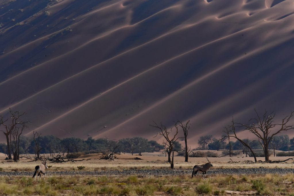 Namibia 2021 (4)