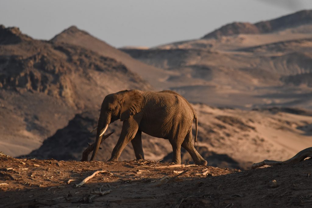 Namibia 2021 (41)