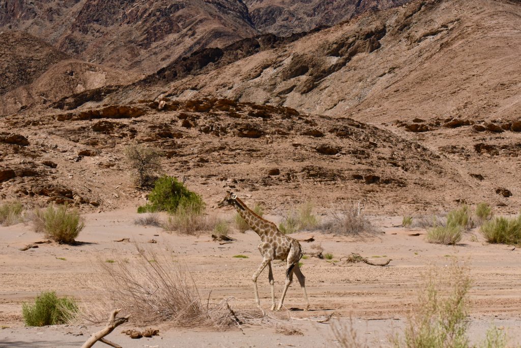 Namibia 2021 (42)