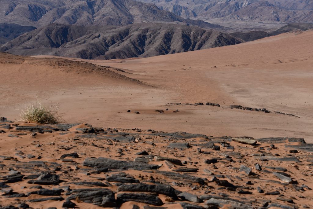 Namibia 2021 (44)