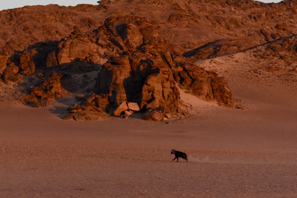 Namibia 2021 (47)
