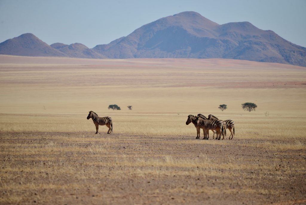 Namibia 2021 (5)