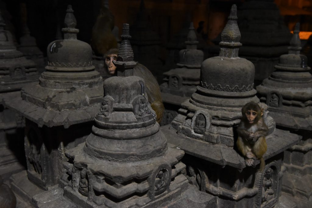 Nepal 2018 (27)