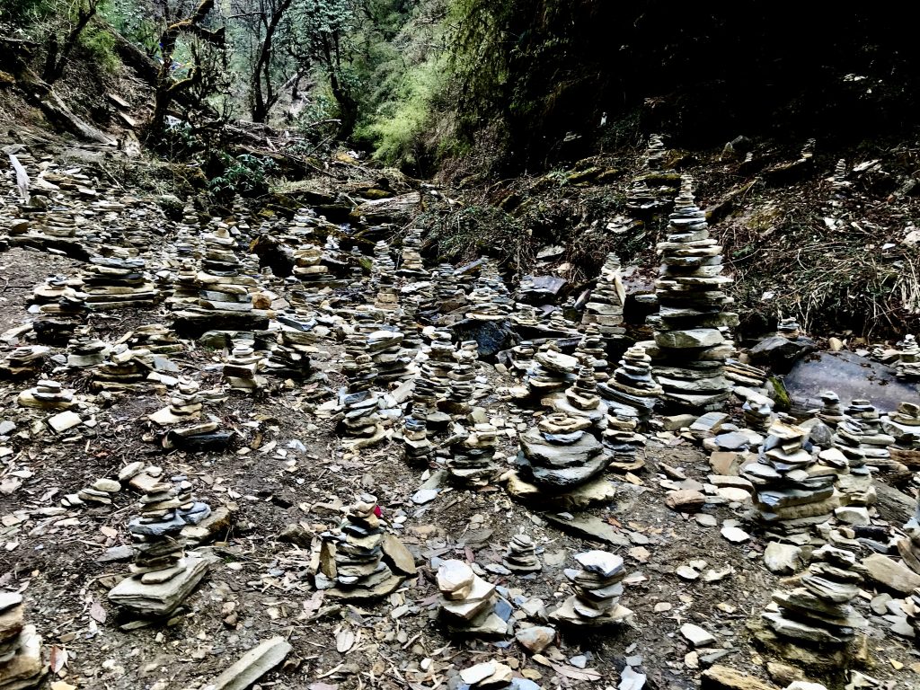 Nepal 2018 (35)