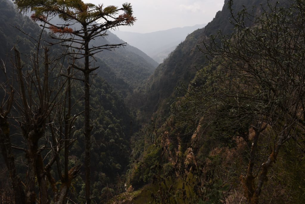 Nepal 2018 (38)