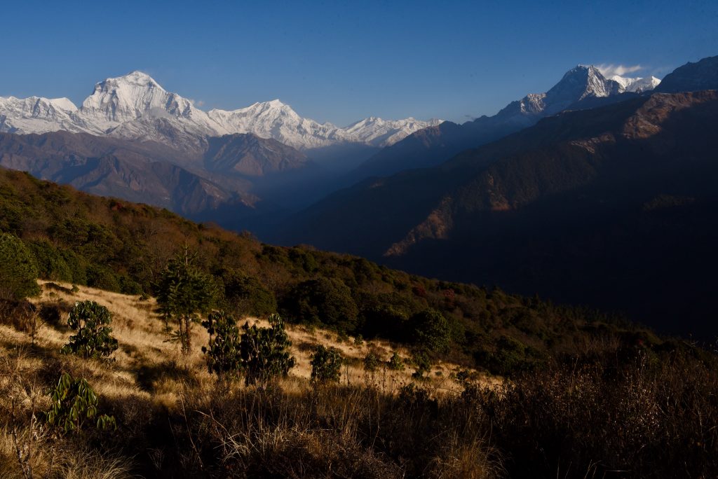 Nepal 2018 (41)