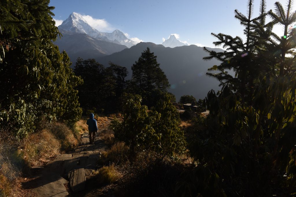 Nepal 2018 (42)