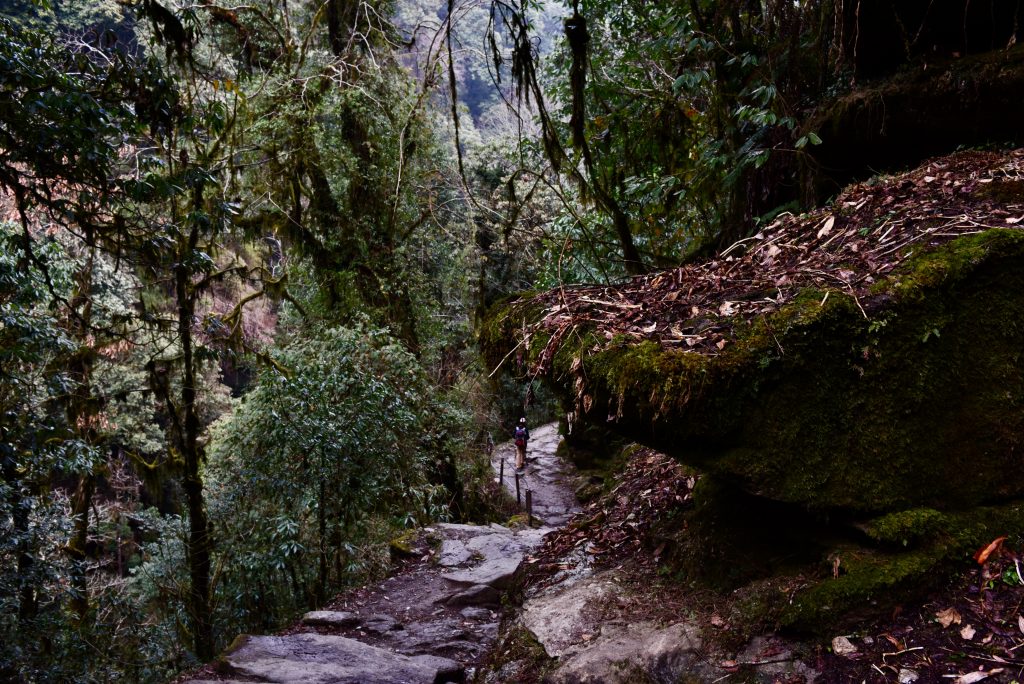 Nepal 2018 (46)