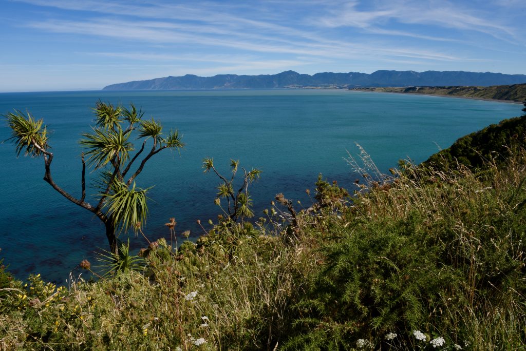 Neuseeland 2017 (12)