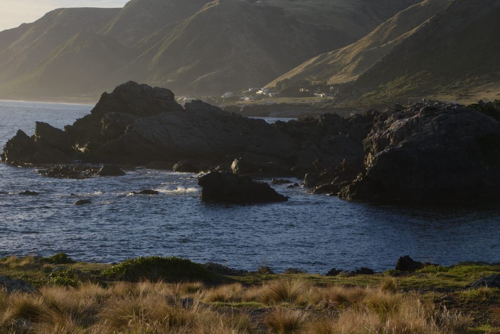 Neuseeland 2017 (20)
