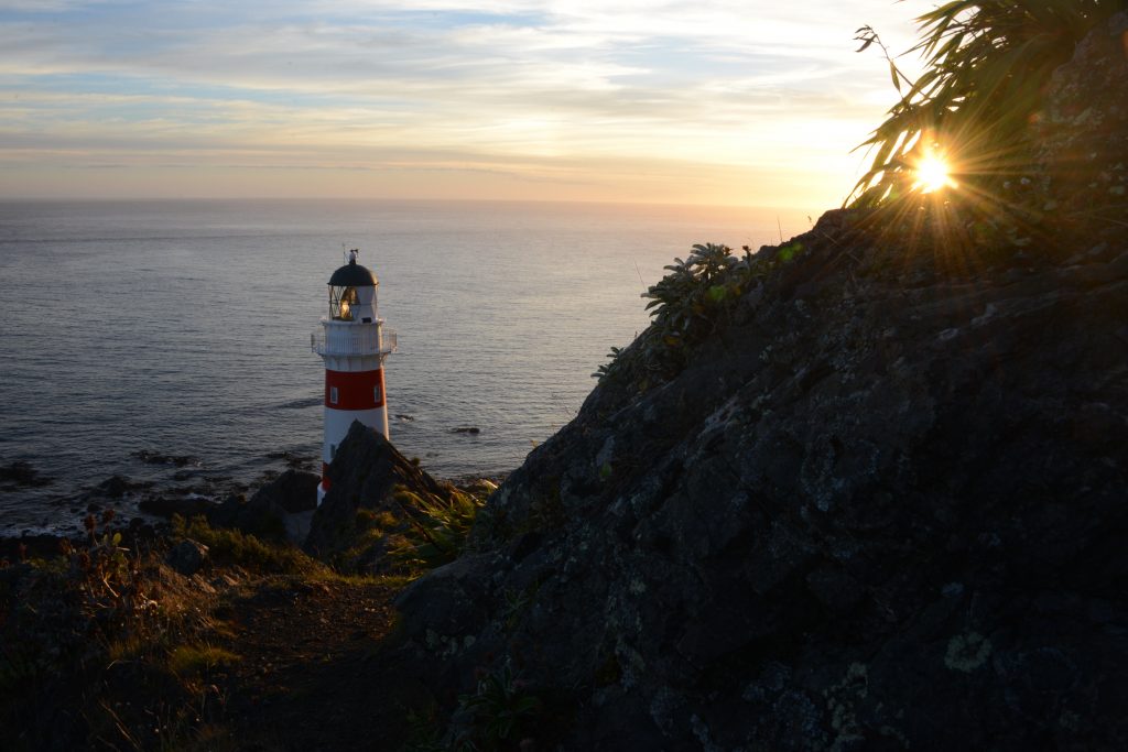 Neuseeland 2017 (22)