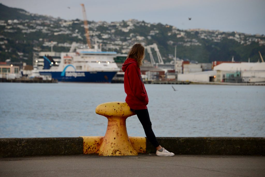 Neuseeland 2017 (7)