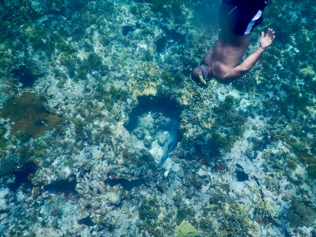 Nicaragua 2016 (4)