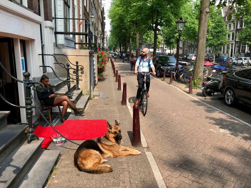 Niederlande 2018 (23)