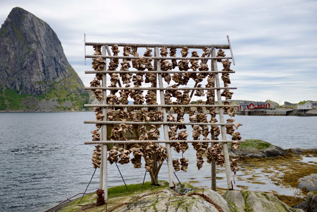 Norwegen 2013 (19)