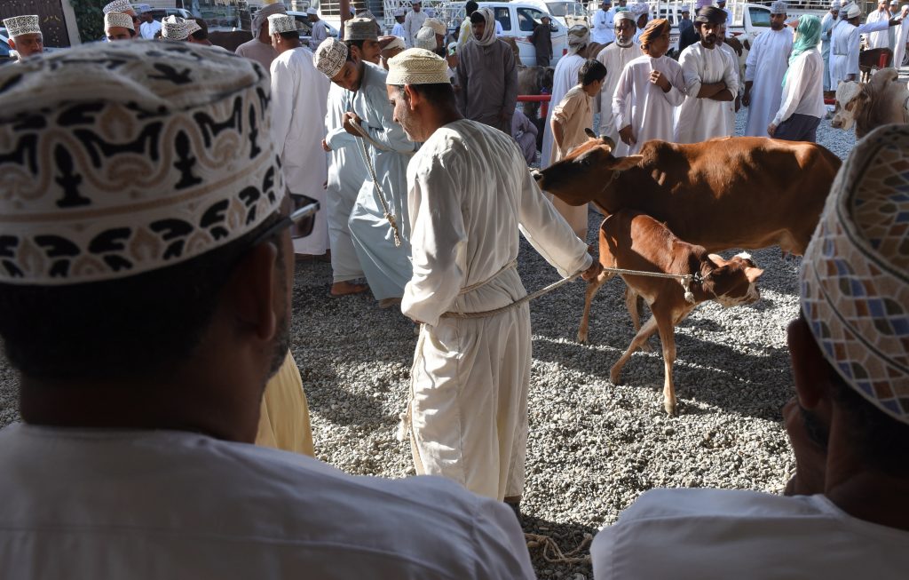 Oman 2017 (12)