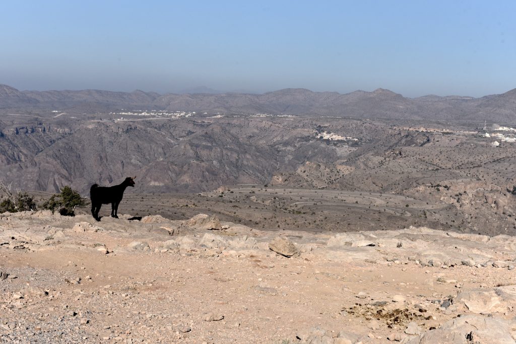 Oman 2017 (17)