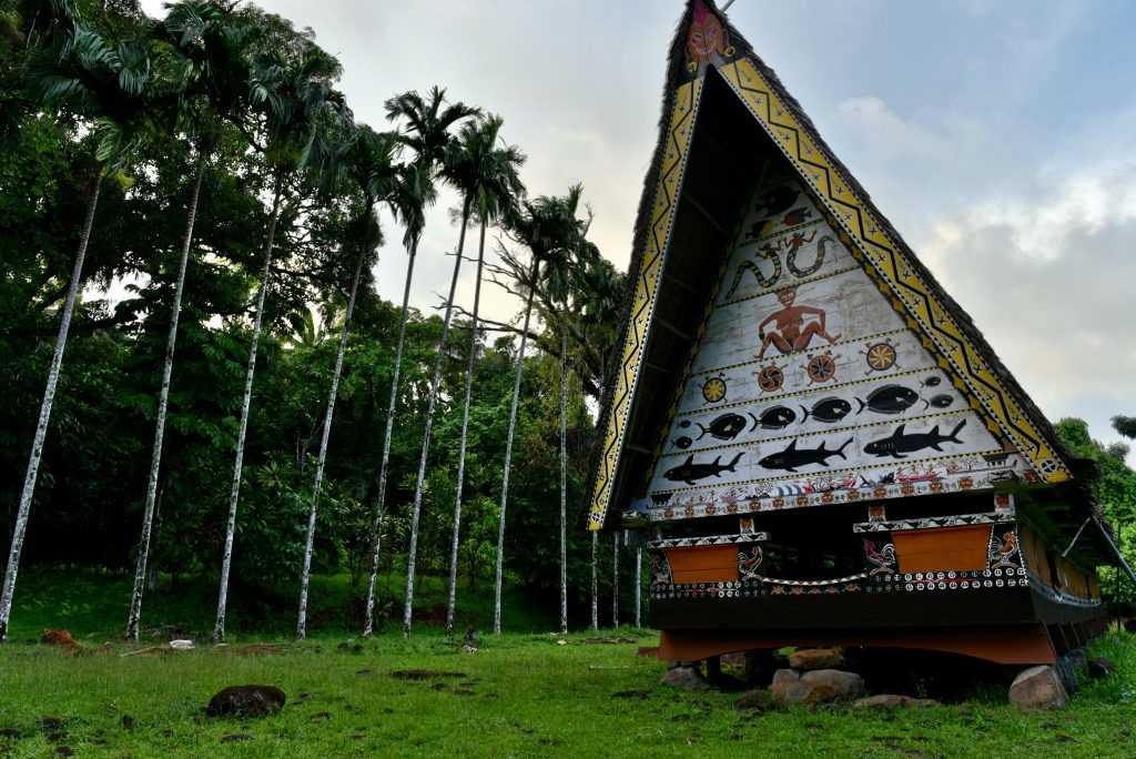 Palau 2017 (17)