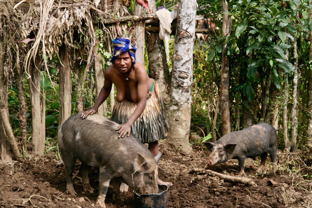 Papua Neuguinea 2009 (14)