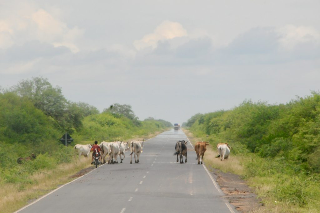 Paraguay Epic Journey 2012 Rio Santiago Osterinsel (2)