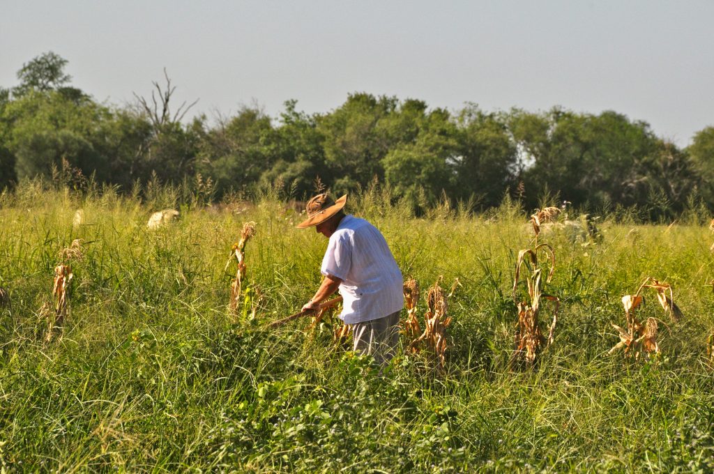 Paraguay Epic Journey 2012 Rio Santiago Osterinsel