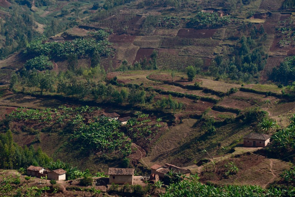 Ruanda 2016 (15)
