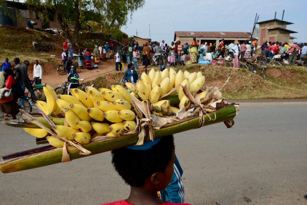 Ruanda 2016 (16)