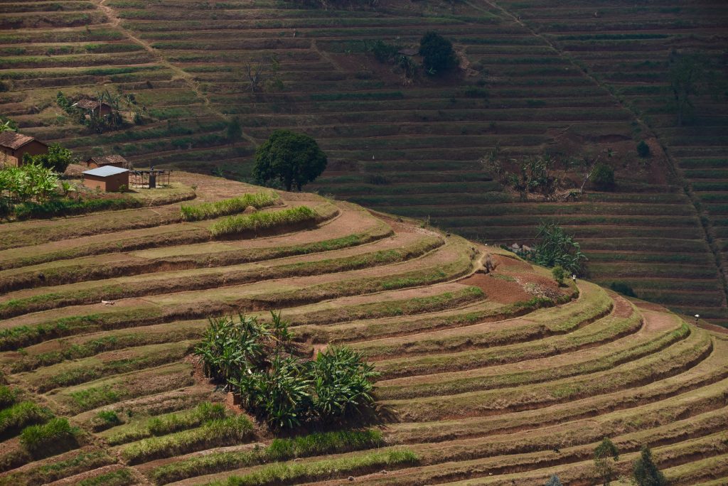 Ruanda 2016 (19)