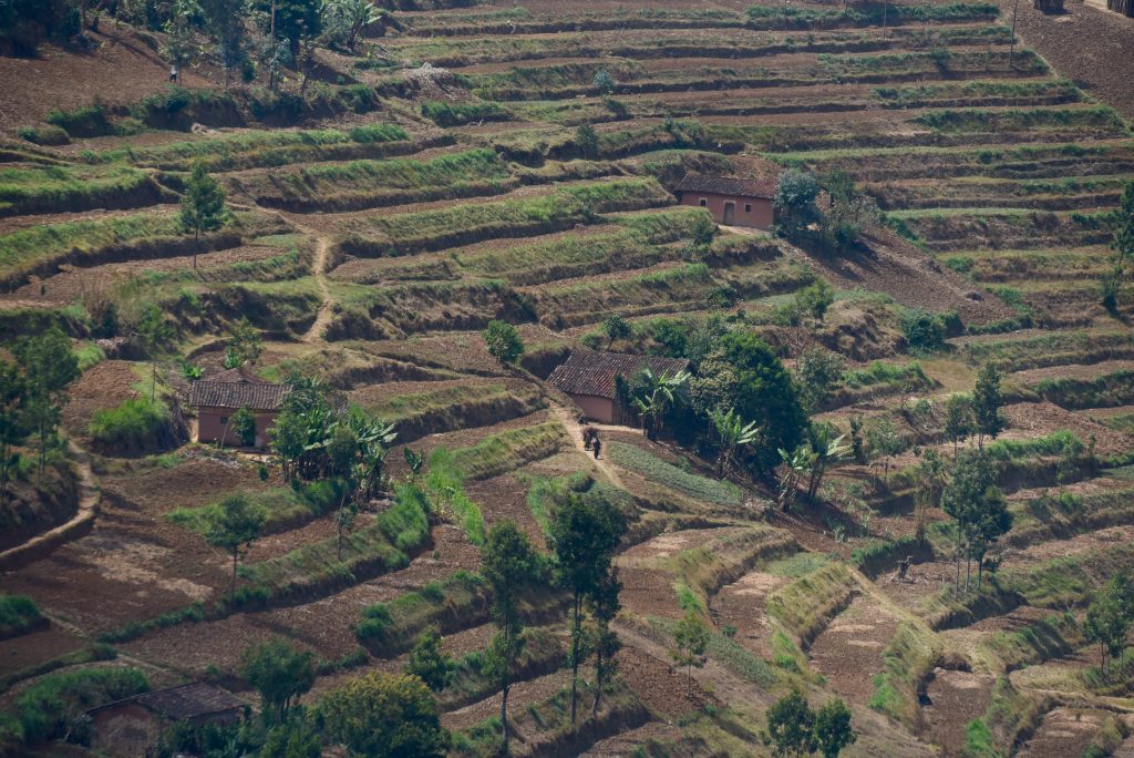 Ruanda 2016 (20)