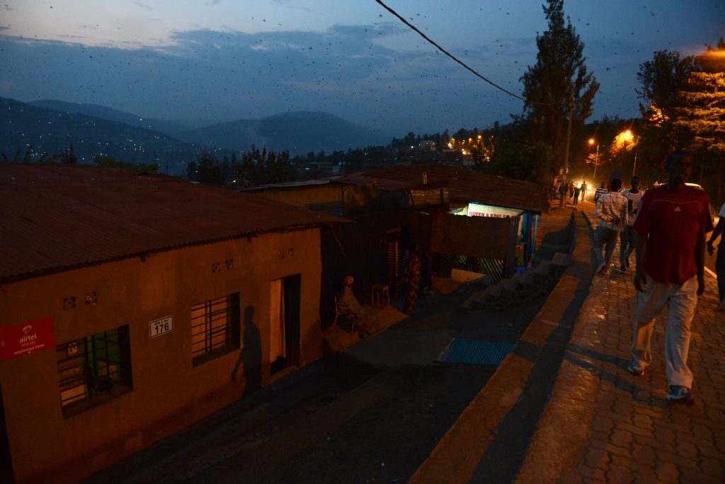 Ruanda 2016 (38)