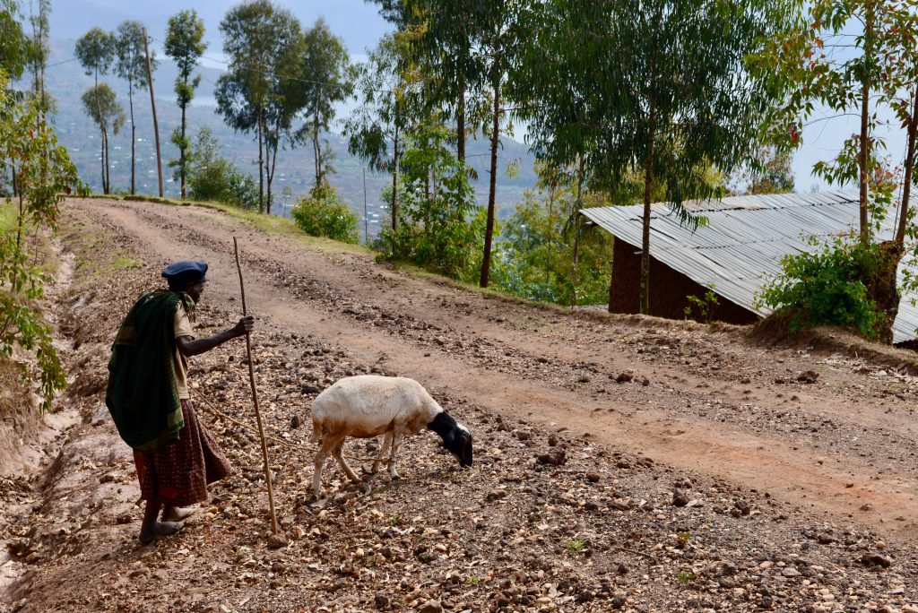 Ruanda 2016 (9)