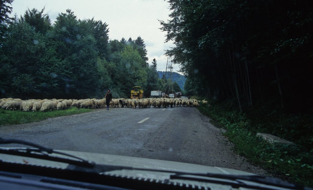Rumänien 1998 (5)