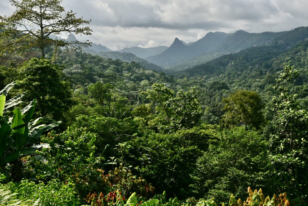 Sao Tomé & Principe 2018 (13)