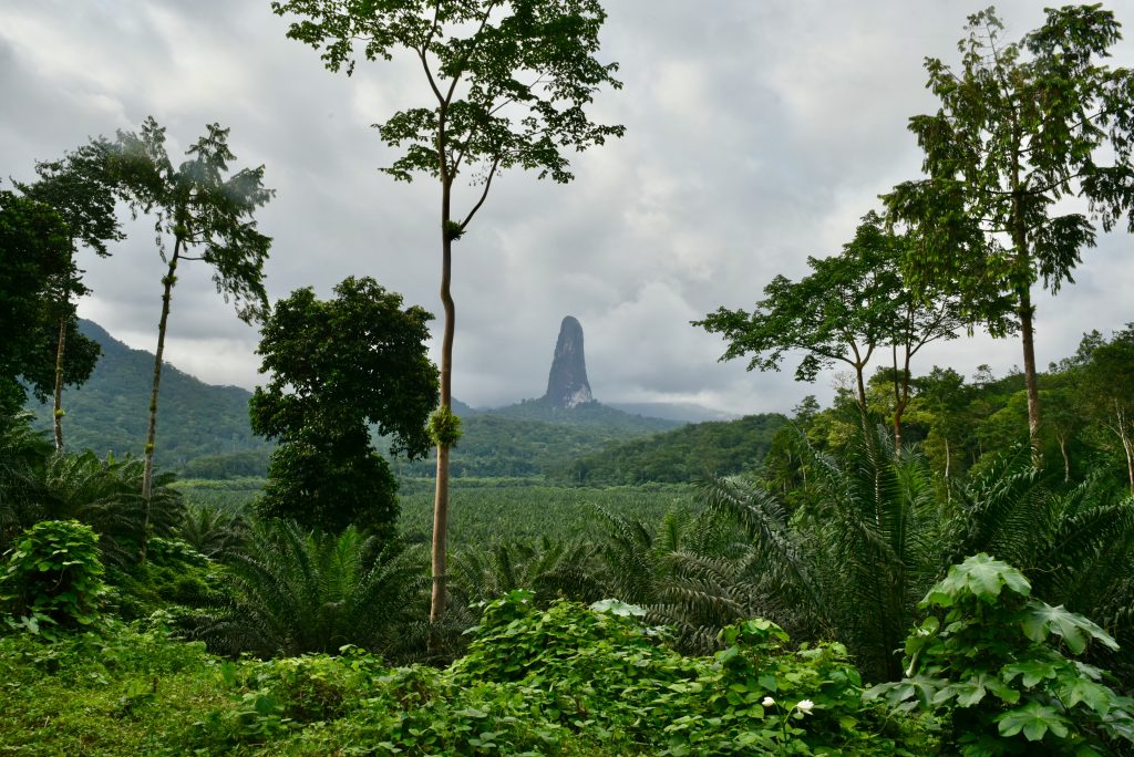 Sao Tomé & Principe 2018 (14)
