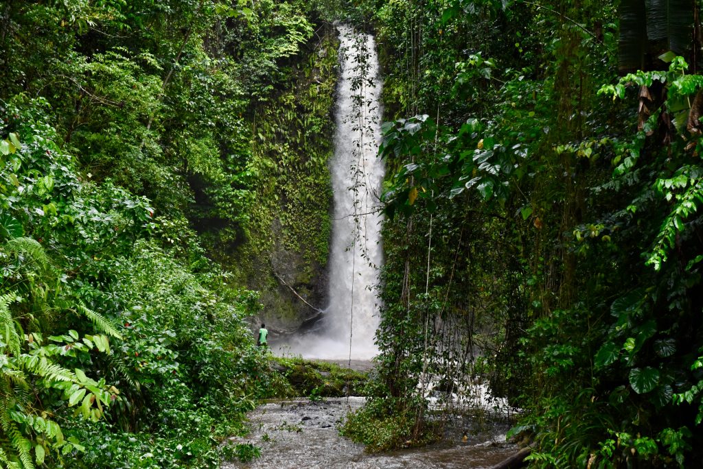 Sao Tomé & Principe 2018 (15)