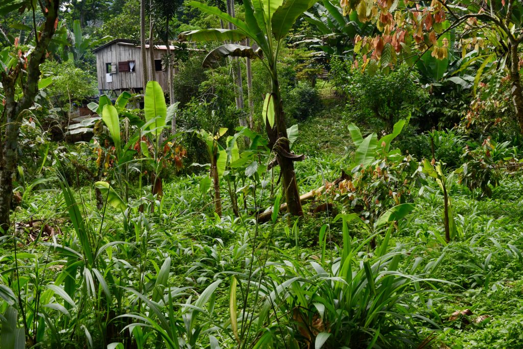 Sao Tomé & Principe 2018 (17)