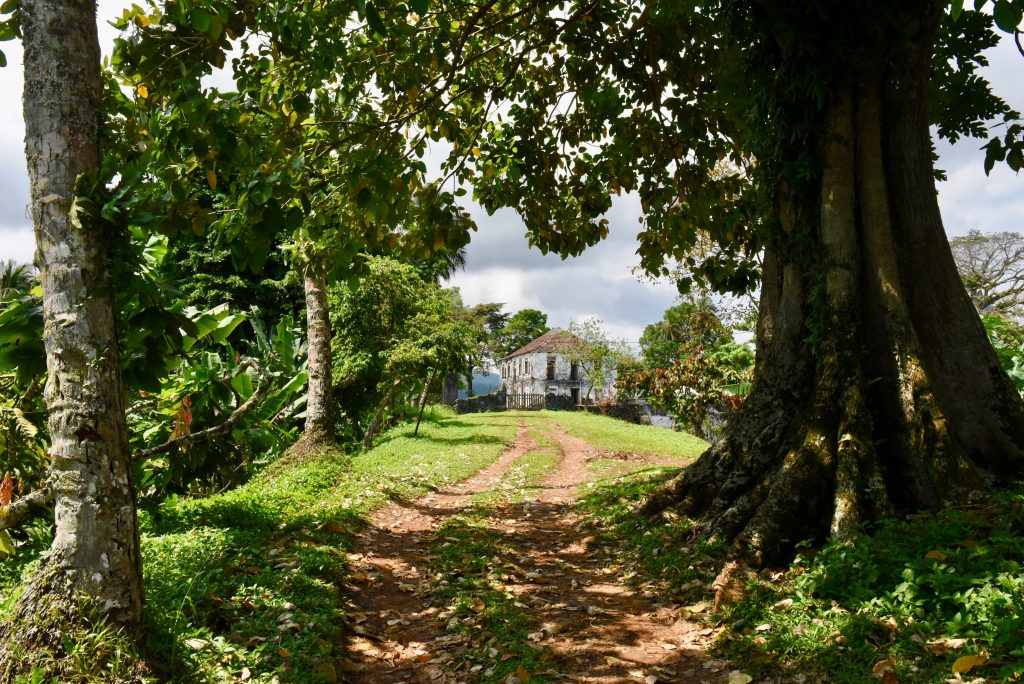 Sao Tomé & Principe 2018 (24)