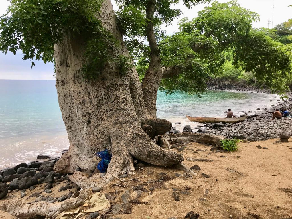 Sao Tomé & Principe 2018 (31)