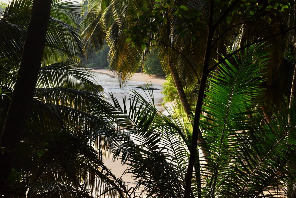Sao Tomé & Principe 2018 (7)