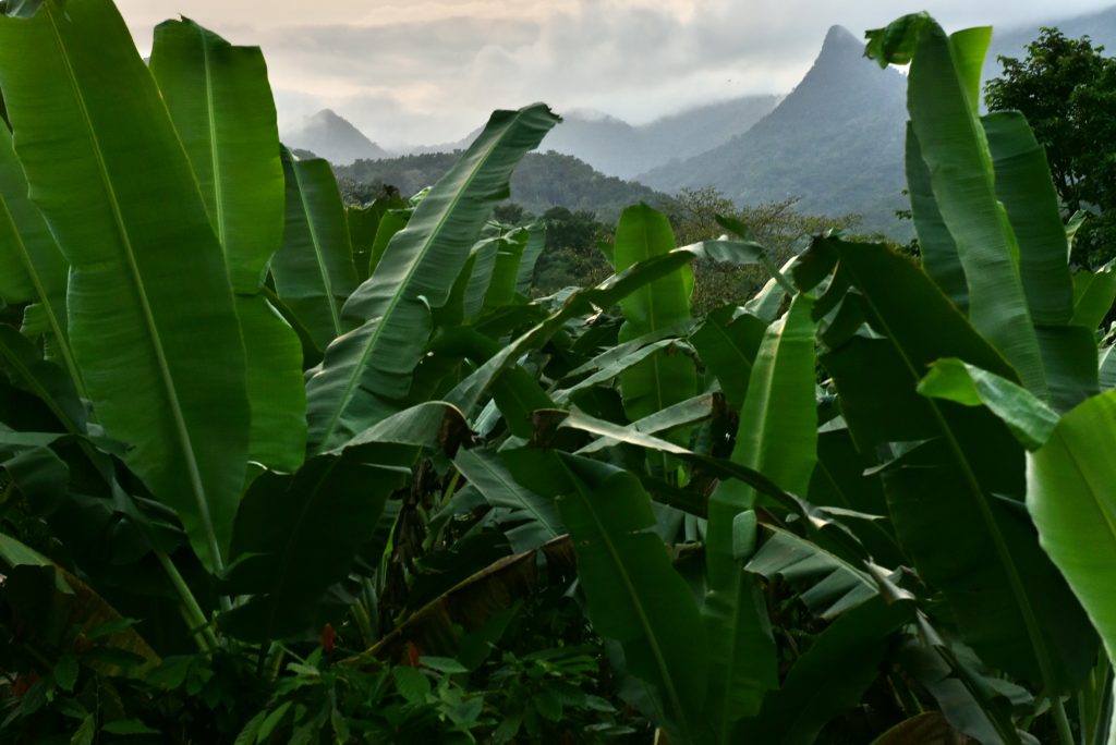 Sao Tomé & Principe 2018 (9)