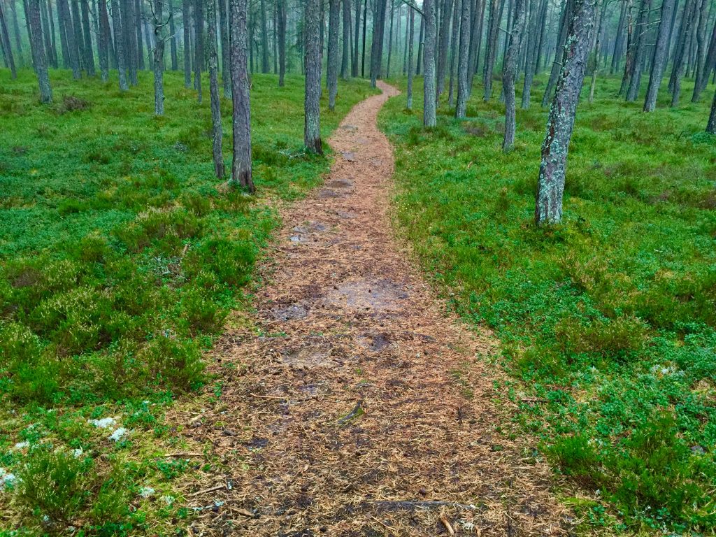 Schweden 2015 (15)