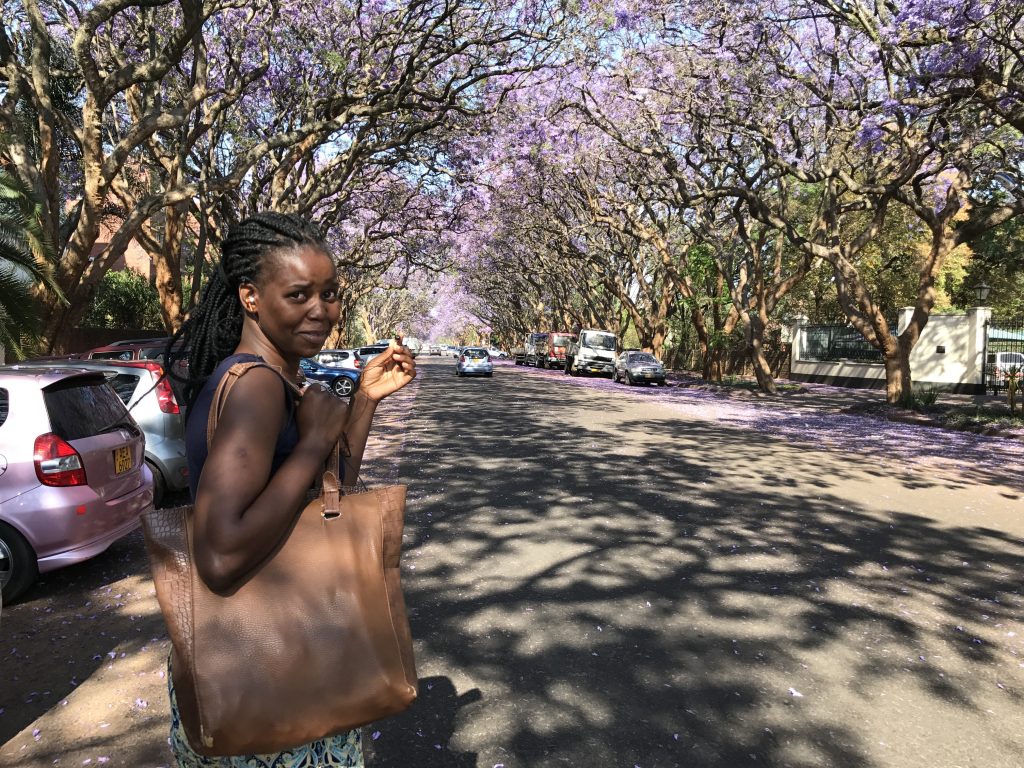 Simbabwe 2017 (1)