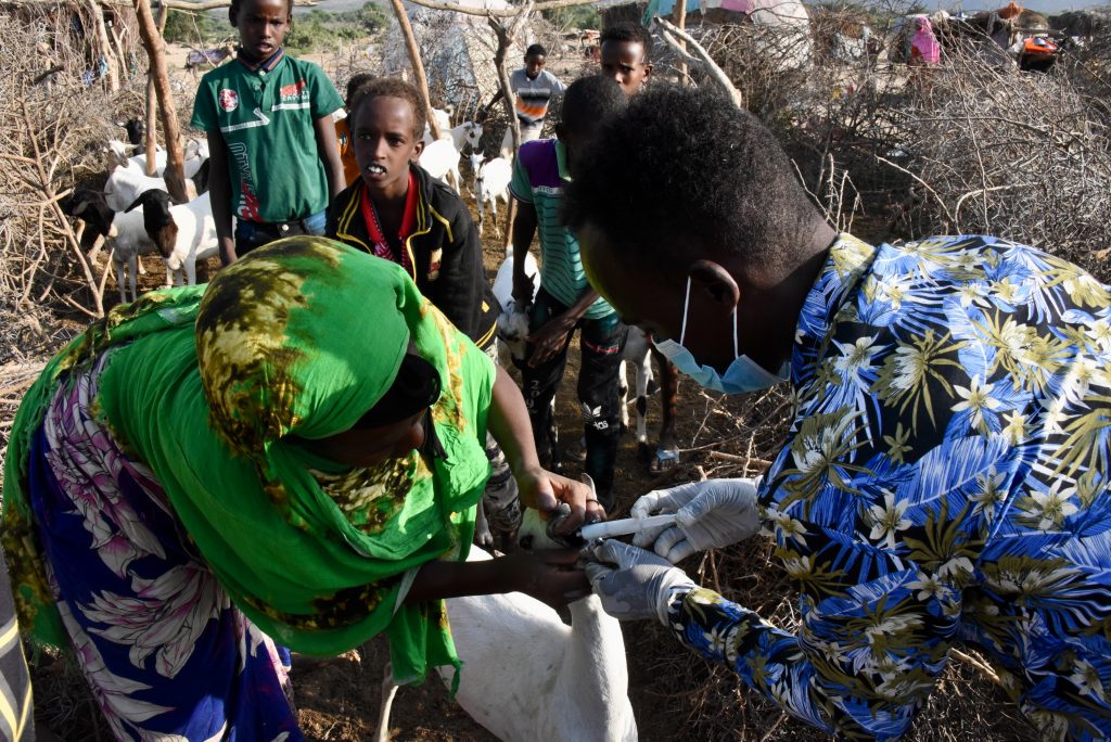 Somalia 2021 Flug NBO Mogadischu Hargeisa Somaliland (22)