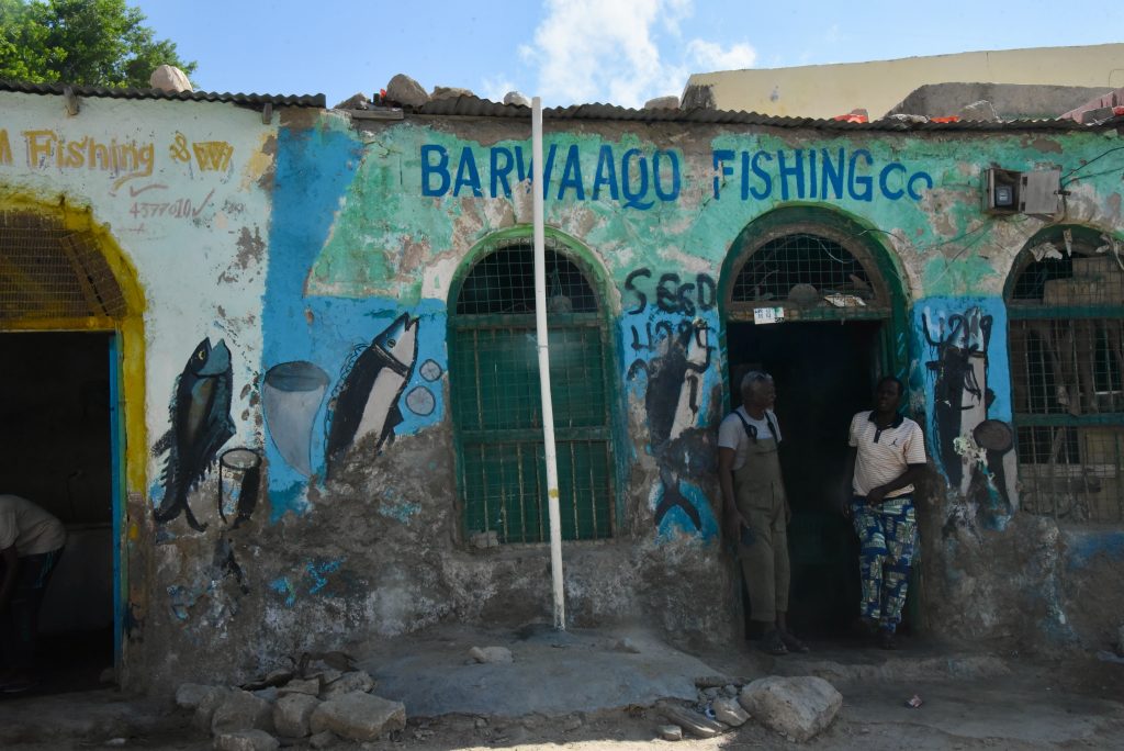Somalia 2021 Flug NBO Mogadischu Hargeisa Somaliland (39)