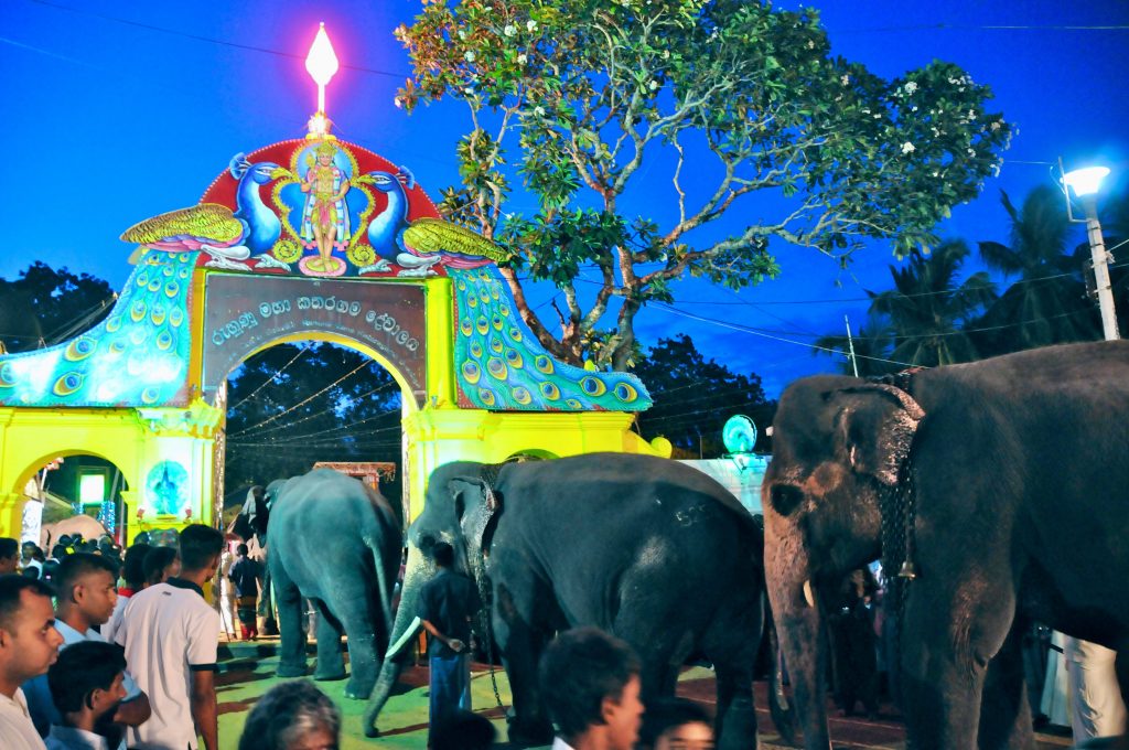 Sri Lanka 2010 - Kataragama (4)